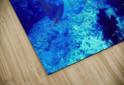 Eagle Rays  Fred Clark Land and Sea Photography  puzzle