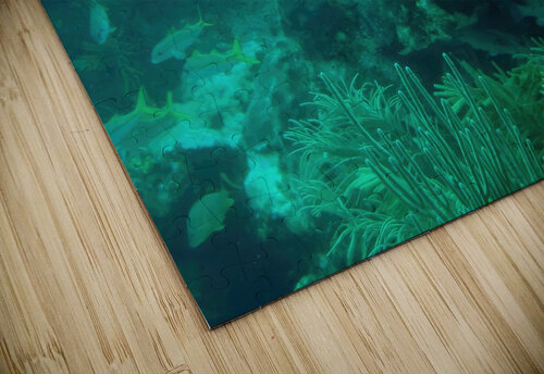 Nurse Shark Looe Key Fred Clark Land and Sea Photography  puzzle