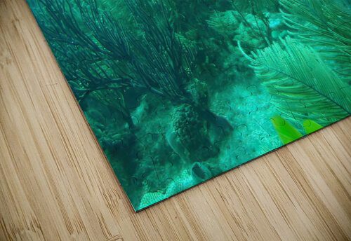 Nurse Shark Looe Key Reef Fred Clark Land and Sea Photography  puzzle