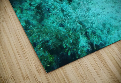 Box Puffer Looe Key Reef Fred Clark Land and Sea Photography  puzzle