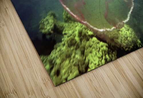 Jellyfish Beware Fred Clark Land and Sea Photography  puzzle