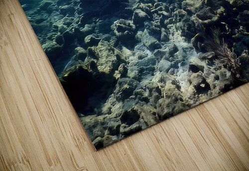 Reef Shark Searching Fred Clark Land and Sea Photography  puzzle