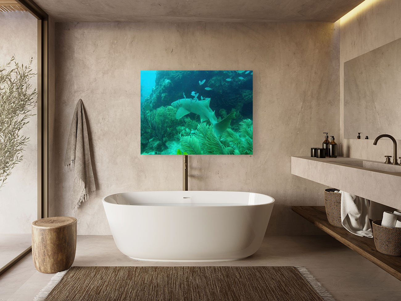 Nurse Shark Looe Key Reef Reproduction