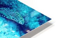 Sea Turtle Looe Key HD Metal print