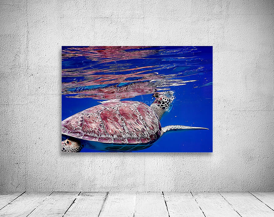 Turtle On Top  Wall Preview