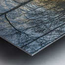 Silhouettes of Serenity: Lumbee River at Sunset Impression metal