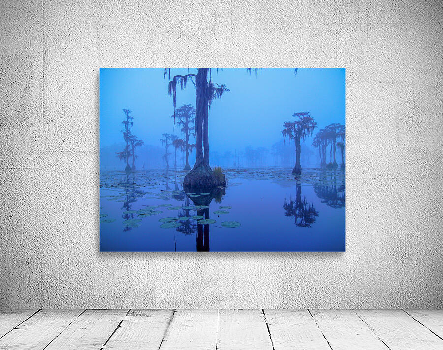 Blue Bayou Wall Preview