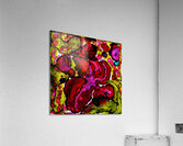 RUBY Acrylic Print