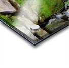 Mossy Stone Acrylic print