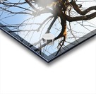 Villa Agape Acrylic print