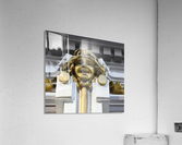 Golden Acrylic Print