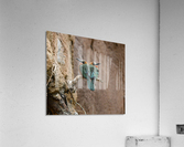 Bee Eaters Acrylic Print