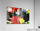 Tulipani Acrylic Print