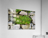 Mossy Stone Acrylic Print