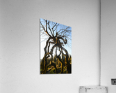 Villa Agape Acrylic Print