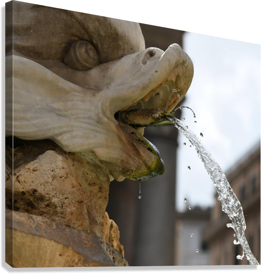 Gargoyle Fountain Canvas Print