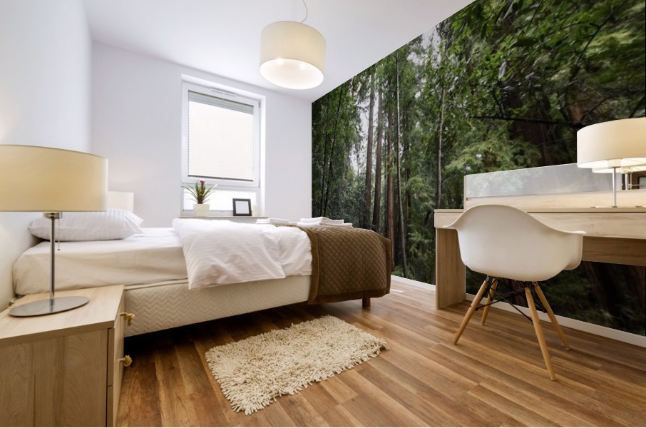 Trees Mural print