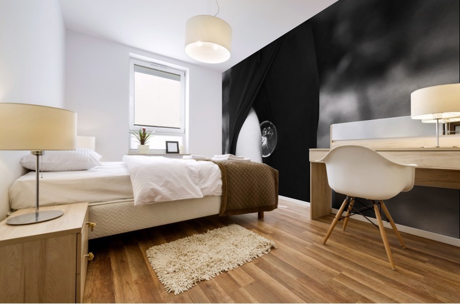 Crystal Ball Mural print