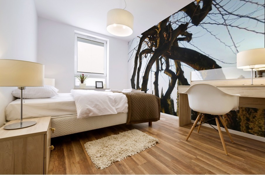 Villa Agape Mural print