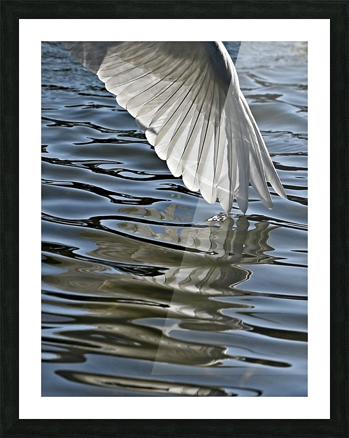 Angel Tip Picture Frame print