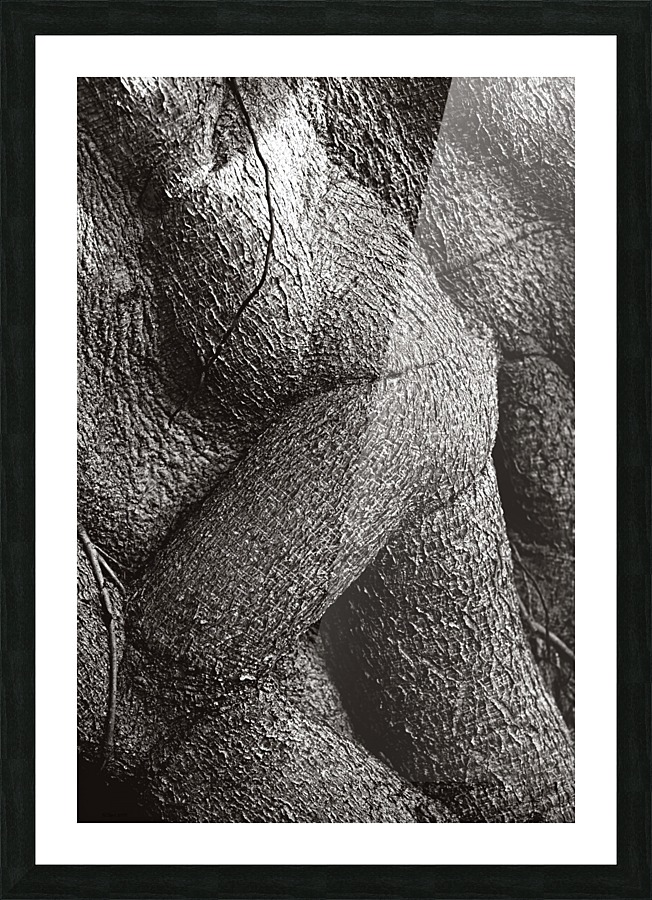 Emerging Bodies Picture Frame print