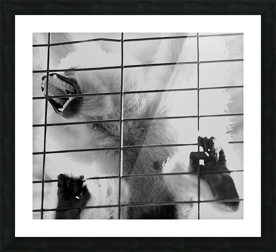 Caged Shriek Picture Frame print