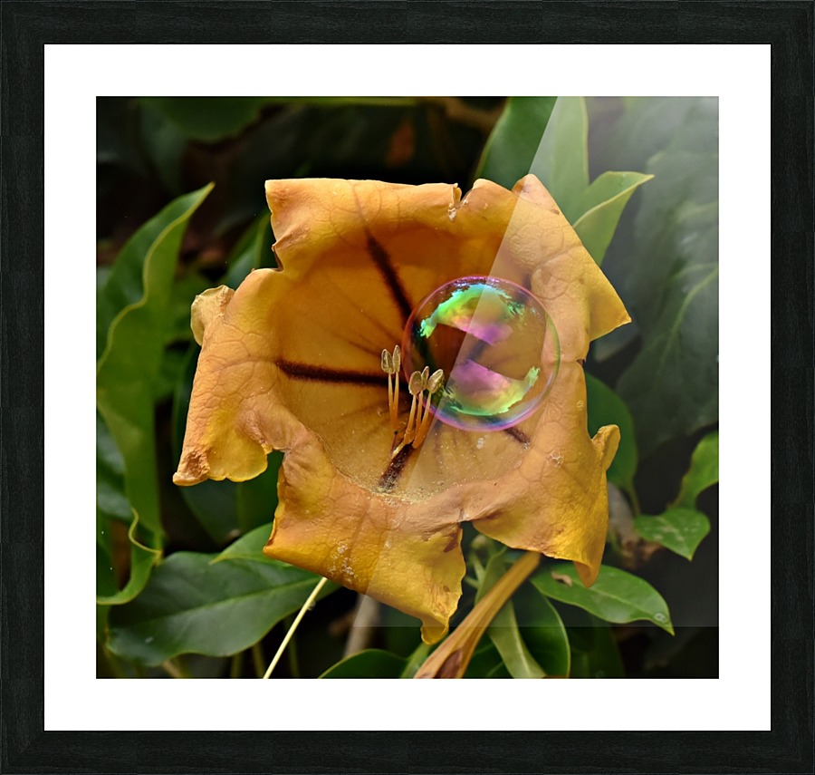 Bubble Flower Picture Frame print