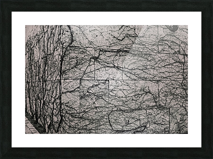The Getty Picture Frame print