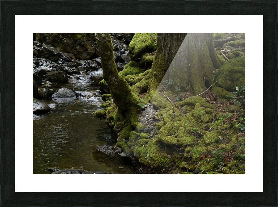Soft Green World Picture Frame print