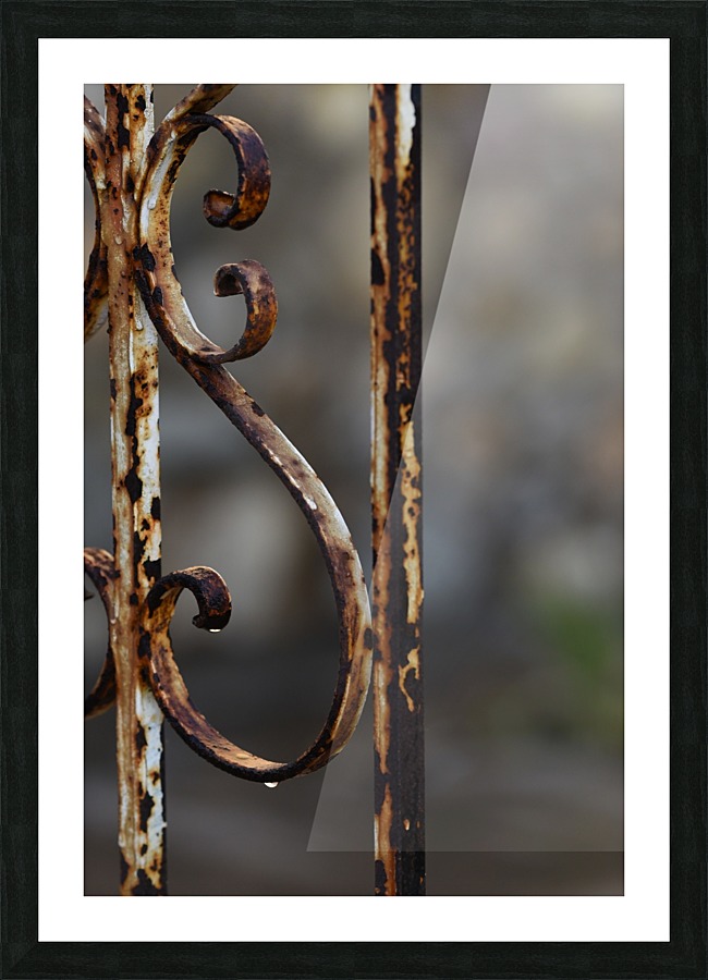 Rust in the Rain Picture Frame print