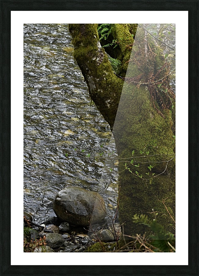 British Columbia Picture Frame print