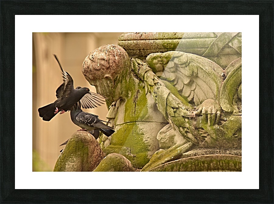 Bird and Moss Picture Frame print