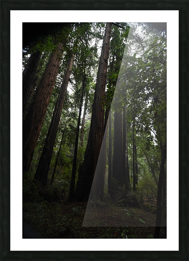 Strong Silent Types Picture Frame print