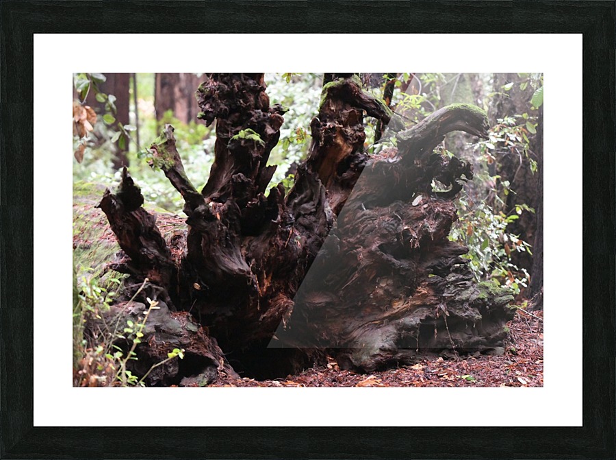 Uprooted Picture Frame print