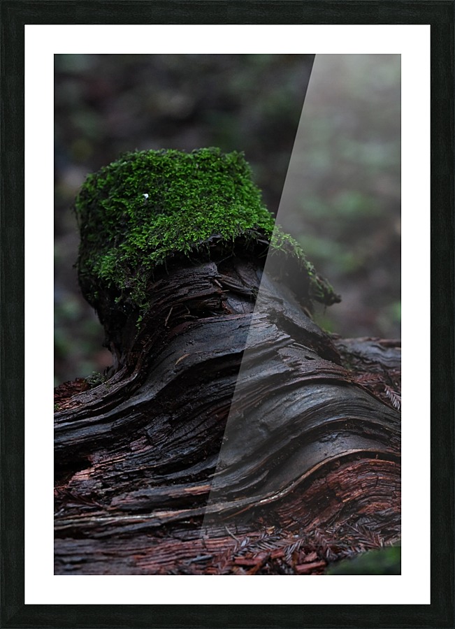 Moss Blanket Picture Frame print