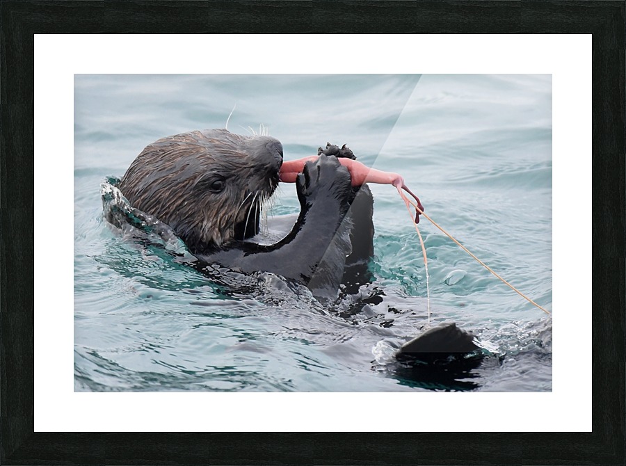 Sea Snacks Picture Frame print