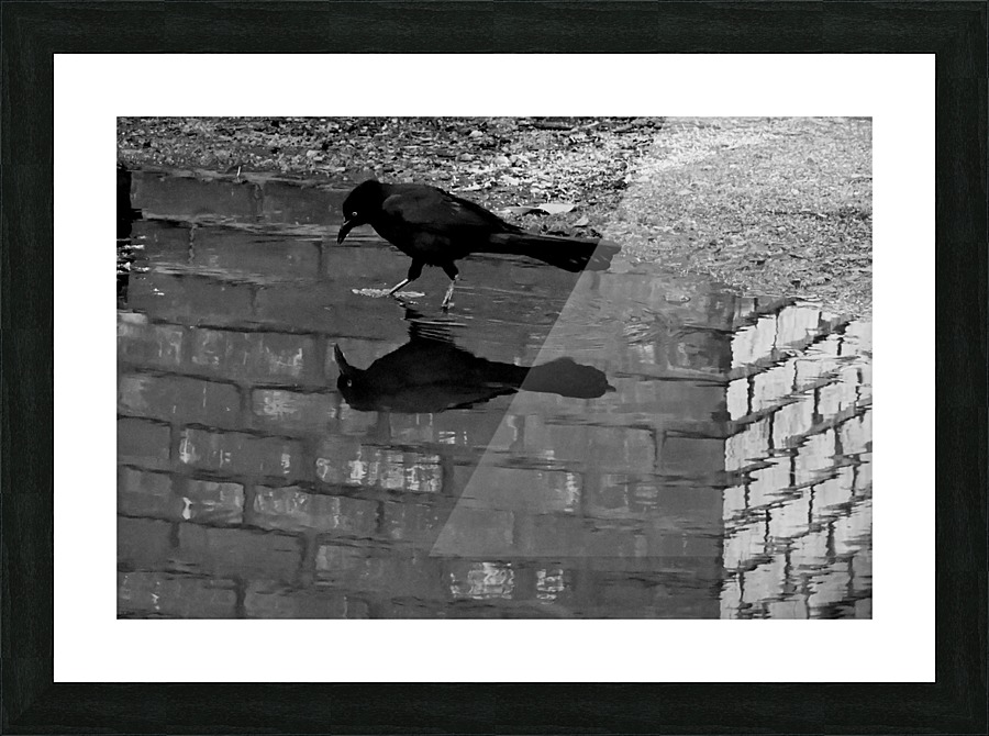 After the Rain Picture Frame print