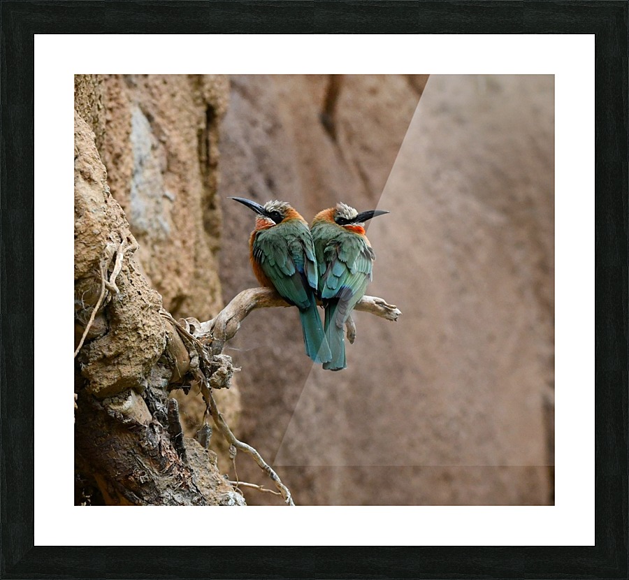 Bee Eaters Picture Frame print