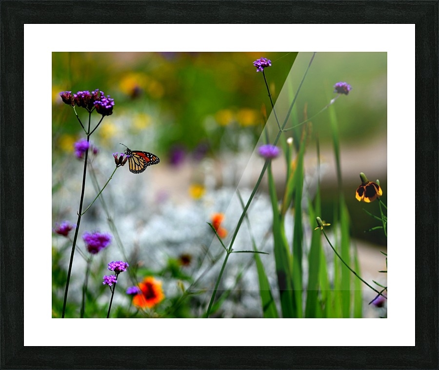 By the Pond Picture Frame print