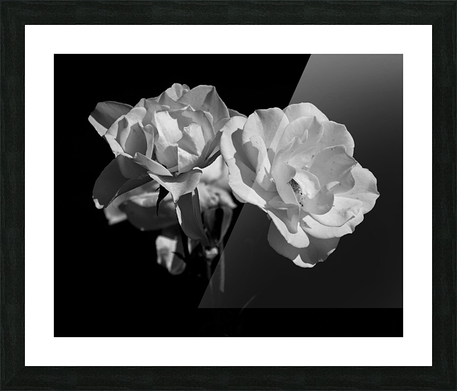 White Flowers Picture Frame print