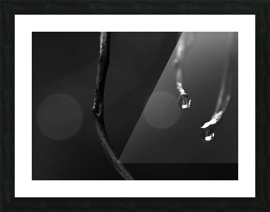 Drops Picture Frame print