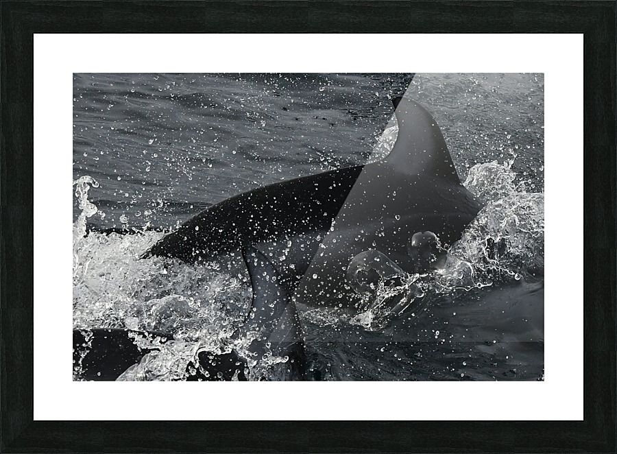Through the Sea Picture Frame print