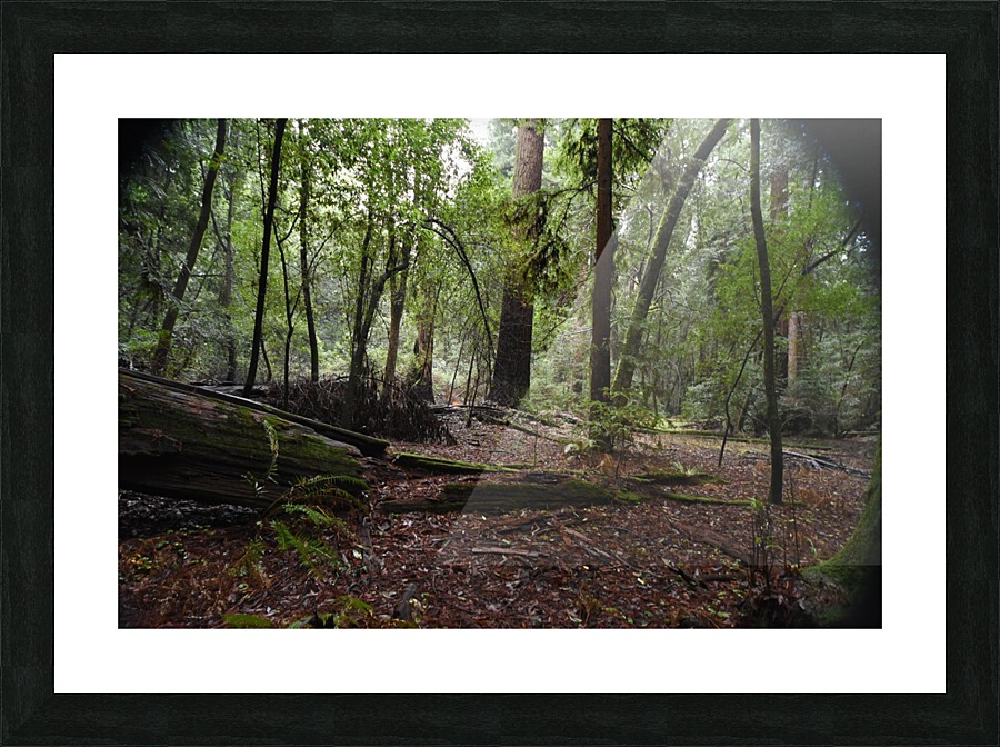 Peaceful Picture Frame print
