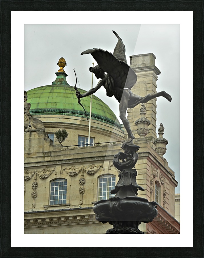 Wings and Arrows Picture Frame print