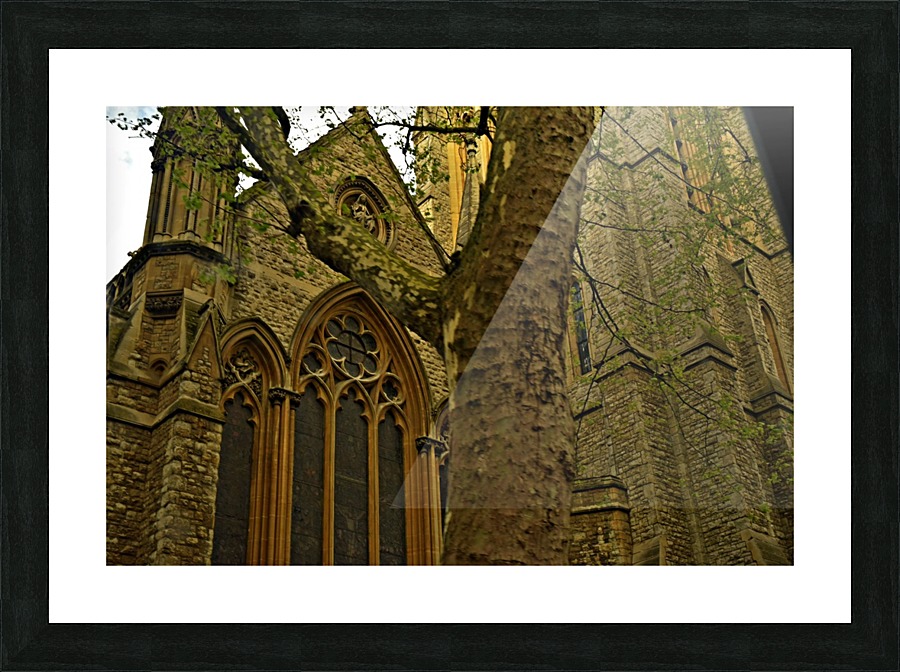 Mossy Cathedral Picture Frame print