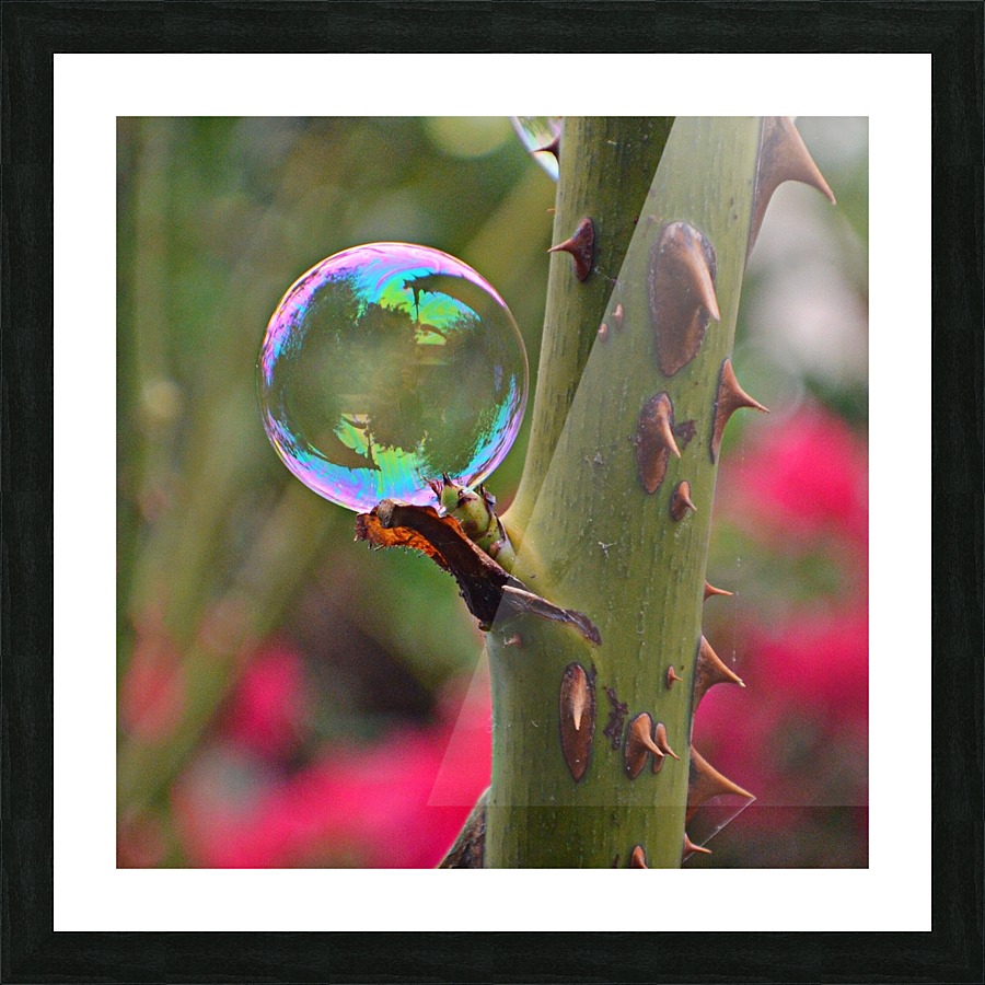 Metaphor Picture Frame print