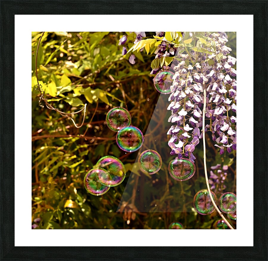 Bubbles in the Garden Picture Frame print