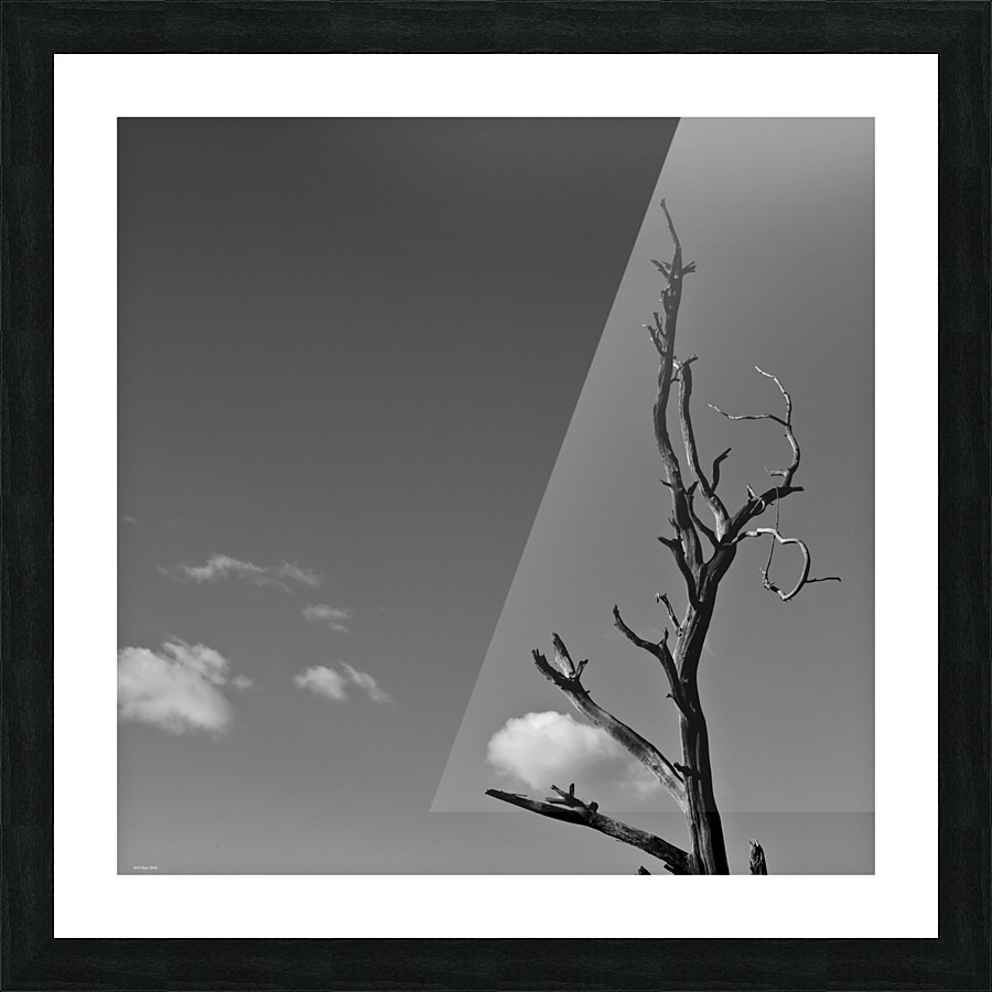 Stuck Cloud Picture Frame print