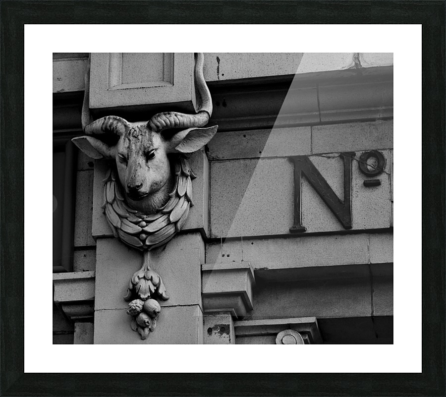 Goat Picture Frame print
