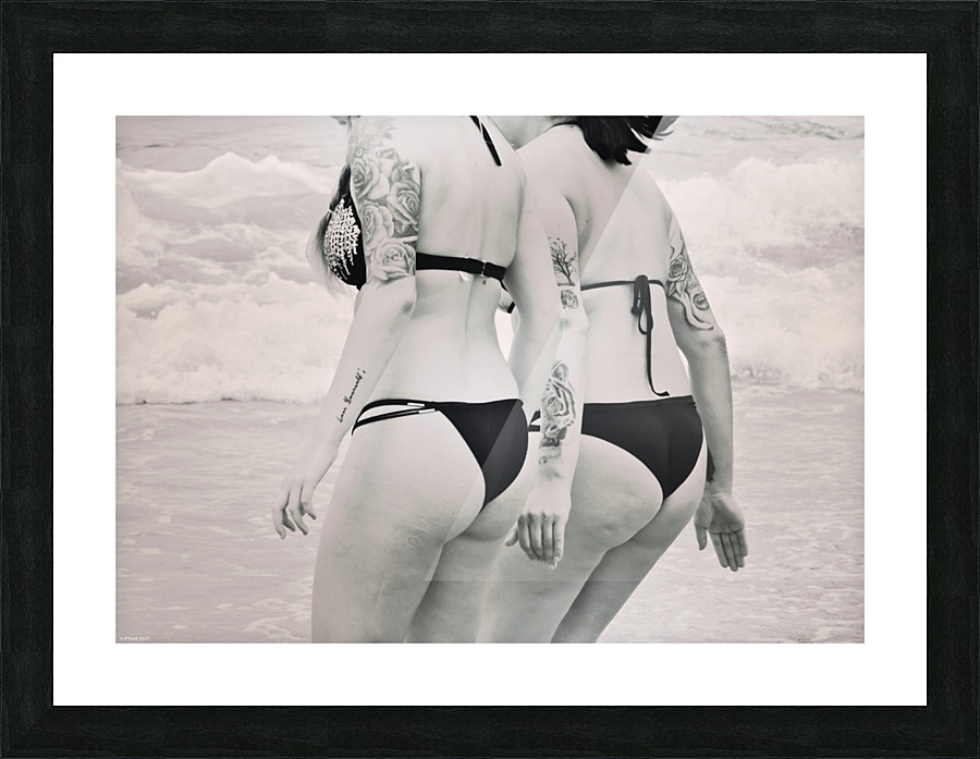 Double Picture Frame print